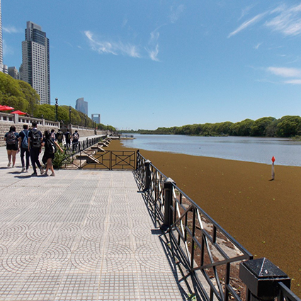 Visita a la Reserva Ecológica Costanera Sur